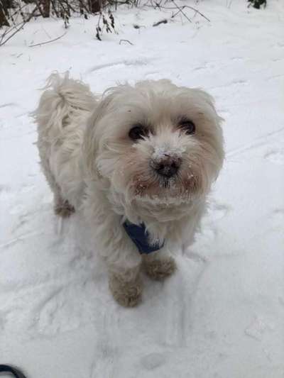 Lieblingsbild-Beitrag-Bild