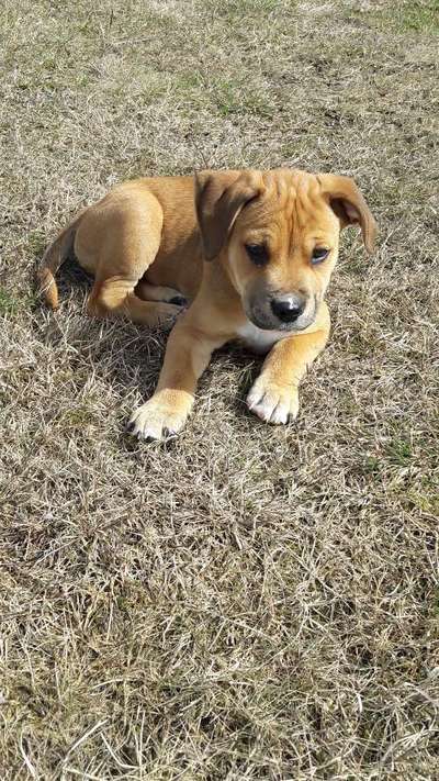 Sie werden so schnell erwachsen ...-Beitrag-Bild