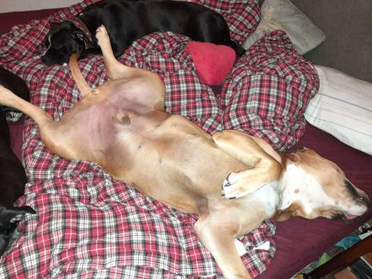 Fotochallenge Nr.65-Beitrag-Bild