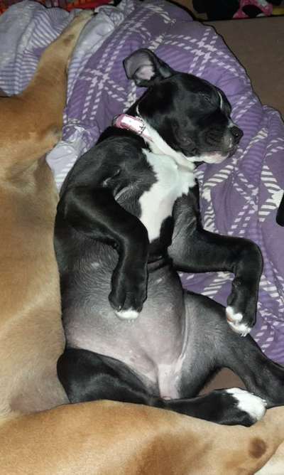 Fotochallenge Nr.65-Beitrag-Bild