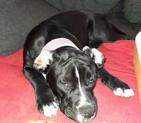 Was können eure Ohren so? ;)-Beitrag-Bild