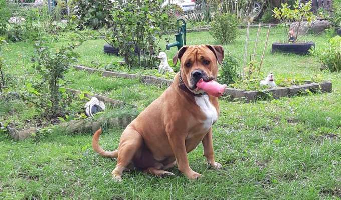 Fotochallenge Nr. 64-Beitrag-Bild