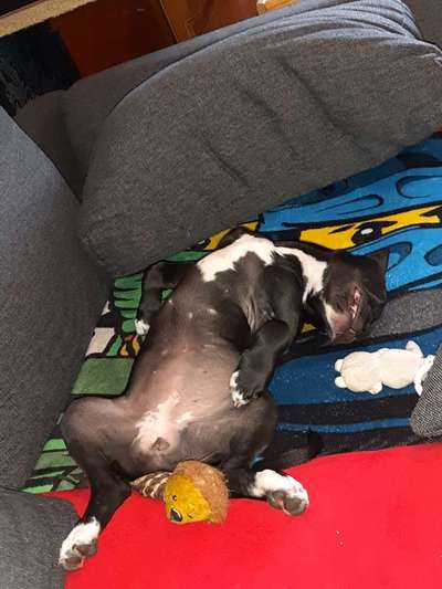 Fotochallenge Nr.65-Beitrag-Bild