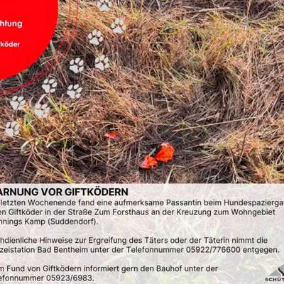 Giftköder-Giftköder Suddendorf-Bild