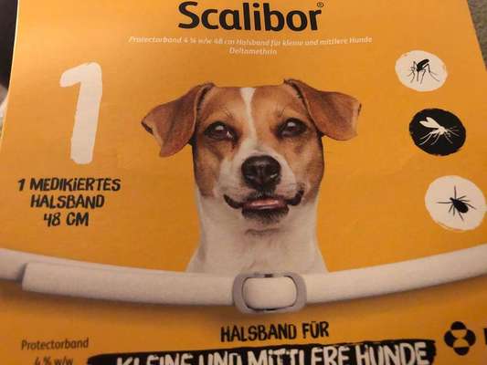 Zeckenhalsband ???-Beitrag-Bild