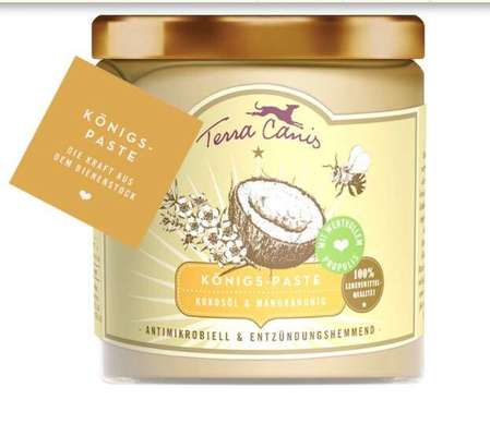 Allergie-Hund-Beitrag-Bild