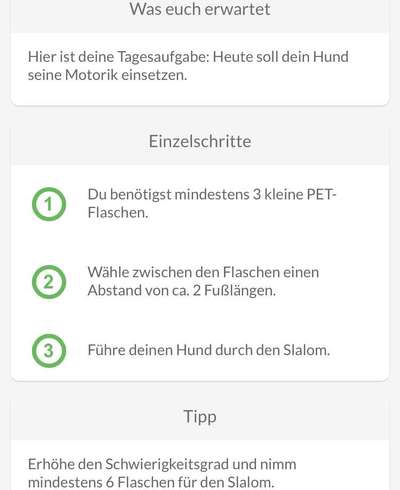 Beschäftigung bei schlechtem Wetter / in Quarantäne-Beitrag-Bild