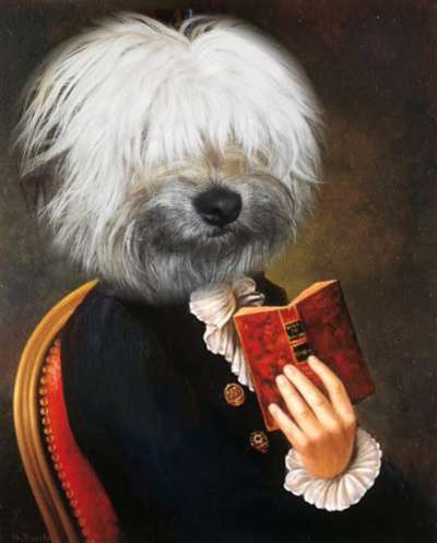 Photomontagen mit Hund-Beitrag-Bild