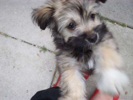 Das erste Foto-Beitrag-Bild