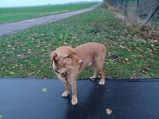 Lieblingsbild-Beitrag-Bild