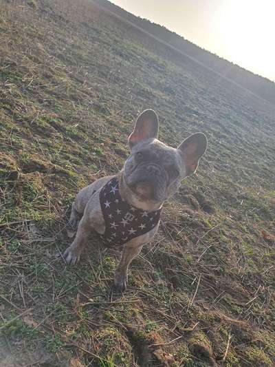 Zeigt mir eure Lieblingsfotos ♡♡-Beitrag-Bild