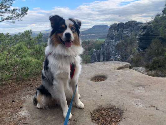 Fotochallenge Nr 107-Beitrag-Bild