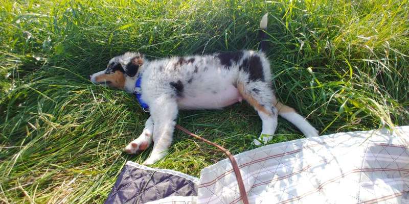 Ab-gehangen-Beitrag-Bild