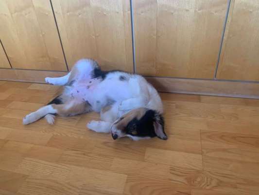 Ab-gehangen-Beitrag-Bild