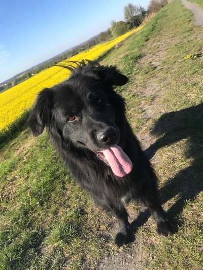 Fotowettbewerb Natur-Beitrag-Bild