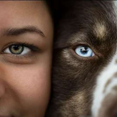 Tierfotografen-A.P. Blickfang Fotografie (professionelle Tierfotografie)-Bild