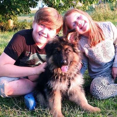 Welpen Bilder !-Beitrag-Bild