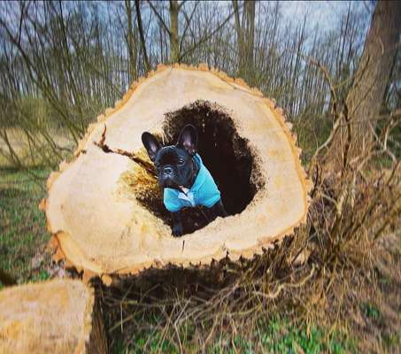 Foto Challenge Nr. 79-Beitrag-Bild