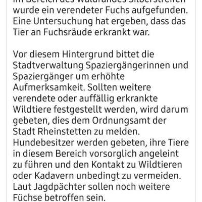 Giftköder-Fuchsräude-Bild