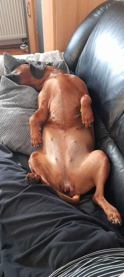 Die unbequemsten und lustigsten Schlafpositionen-Beitrag-Bild