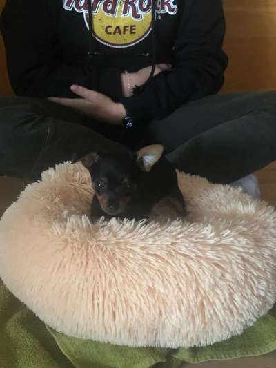 Das erste Foto-Beitrag-Bild