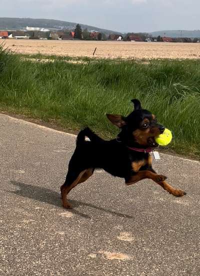 Fotochallenge 81-Beitrag-Bild