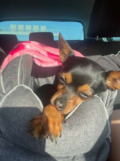 117. Fotochallenge-Beitrag-Bild