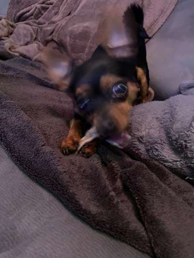 Un...scharf Bilder-Beitrag-Bild