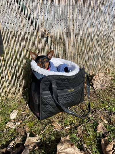 4. Lustiger Schlafplatz-Beitrag-Bild