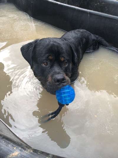 FOTOCHALLANGE NR.71 BADEFREUDE-Beitrag-Bild