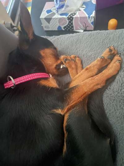 Foto Challange Nr.80-Beitrag-Bild