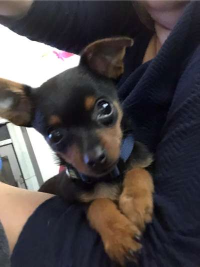 Foto Challenge 82-Beitrag-Bild