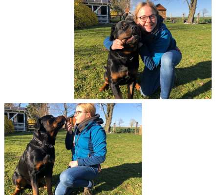 Zeigt mal die schönsten Bilder von euren Hunden !-Beitrag-Bild