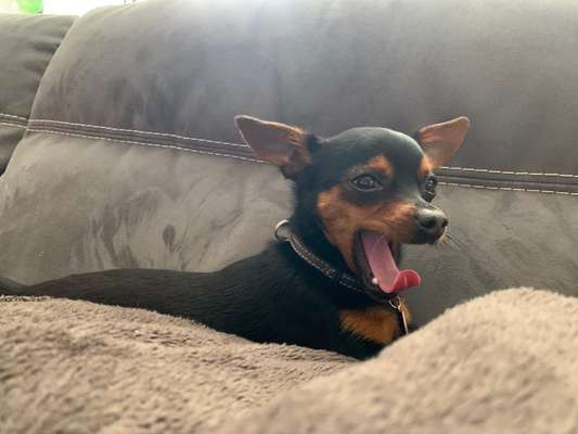 Her mit dem Grimassen-Beitrag-Bild