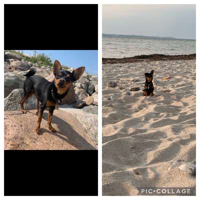 Eure Strandbilder :)-Beitrag-Bild