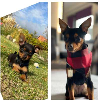 28. Handy-Fotochallenge - Damals und heute-Beitrag-Bild