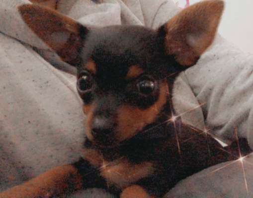 Lieblingsbild :D-Beitrag-Bild