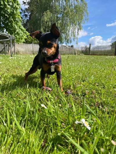 Fotochallange 84-Beitrag-Bild