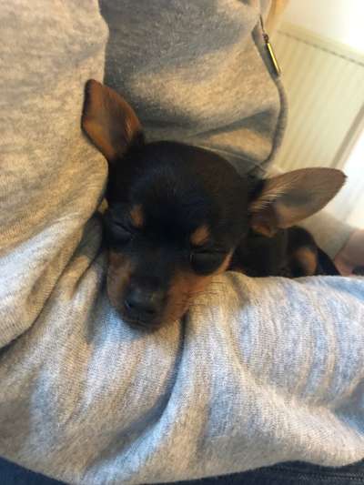 Erstes Bild-Beitrag-Bild