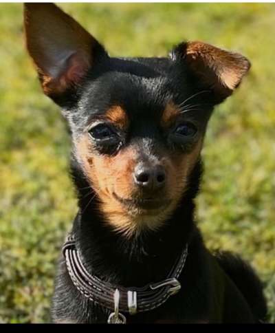 Fotochallange Nr. 57     PORTRÄT.   Beendet!!!!!!!!-Beitrag-Bild