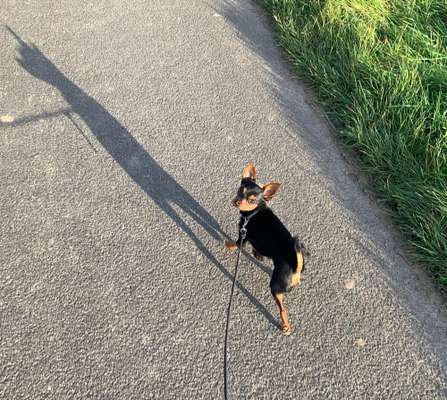 Von oben-Beitrag-Bild