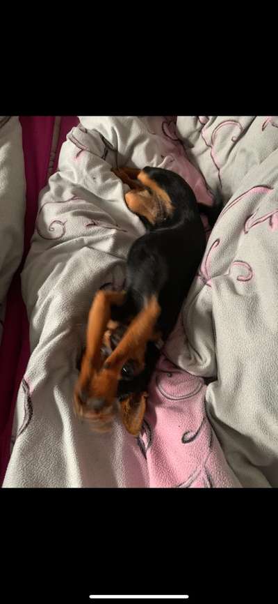 Fotochallenge Nr.65-Beitrag-Bild