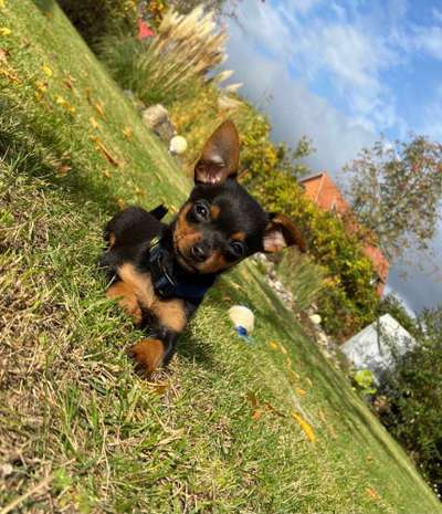 Vorher.... Nachher-Beitrag-Bild