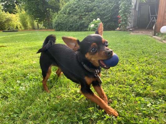 Fotochallenge Nr. 64-Beitrag-Bild