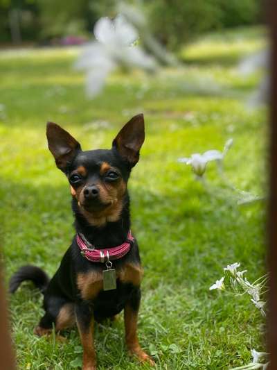 Theos  Fotochallenge Nummer 2-Beitrag-Bild