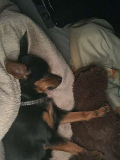 Schlafzeit!💖-Beitrag-Bild