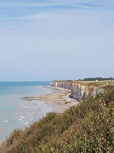 Normandie mit Hund-Beitrag-Bild