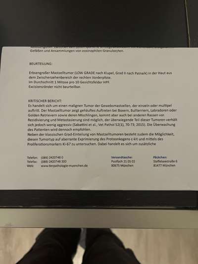 Entzündung/Abzess zwischen den Zehen-Beitrag-Bild