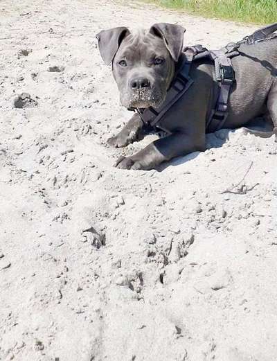 14. Farbenfoto-Challenge "Weiss"-Beitrag-Bild