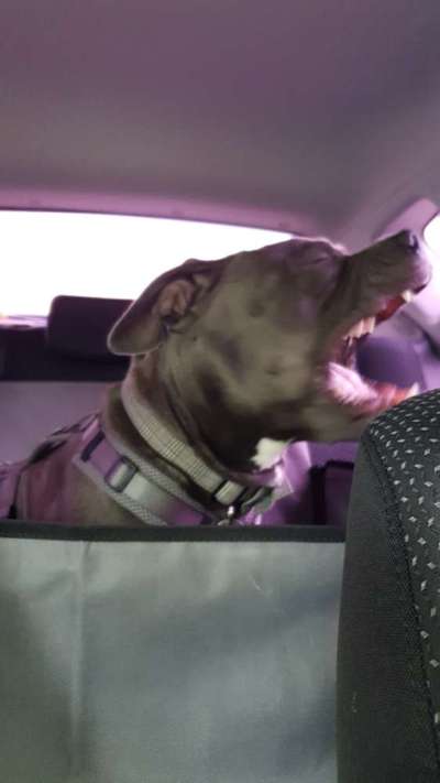 FOTO CHALLENGE Thema ,,durchdrehen"-Beitrag-Bild